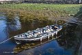 Rowing boat at Kinvarra, Co. Galway